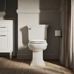 Elongated toilet seat