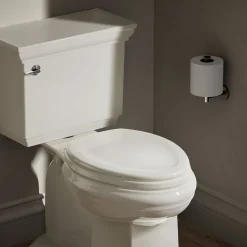 Elongated toilet seat