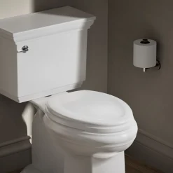 Elongated toilet seat