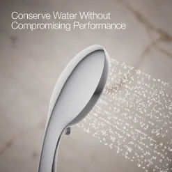 Four-function handshower, 1.75 gpm