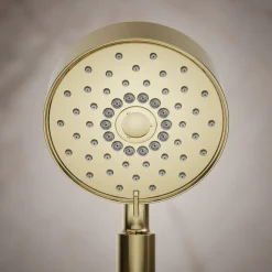 Four-function handshower, 2.5 gpm