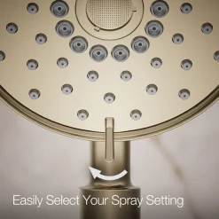 Four-function handshower, 2.5 gpm
