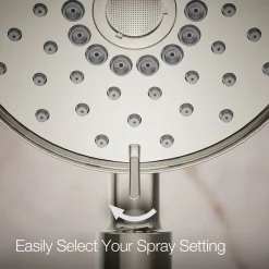 Four-function handshower, 2.5 gpm
