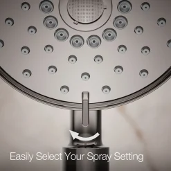 Four-function handshower, 2.5 gpm