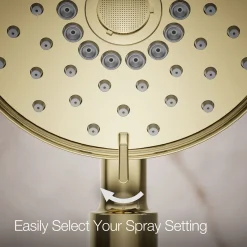 Four-function handshower, 2.5 gpm
