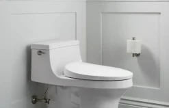 Heated Quiet-Close™ elongated toilet seat