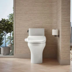 Hidden cord one-piece compact elongated toilet with skirted trapway, 1.28 gpf