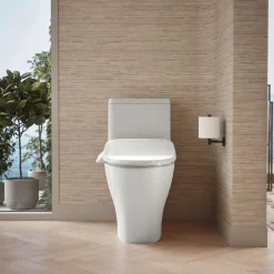 Hidden cord one-piece compact elongated toilet with skirted trapway, dual-flush
