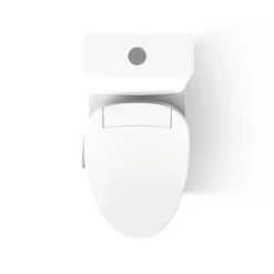 Hidden cord one-piece compact elongated toilet with skirted trapway, dual-flush