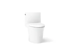 Hidden cord one-piece elongated toilet with skirted trapway, dual-flush