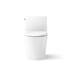 Hidden cord one-piece elongated toilet with skirted trapway, dual-flush