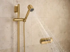 Iconic single-function handshower, 2.5 gpm