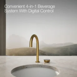 4-in-1 short arc beverage faucet