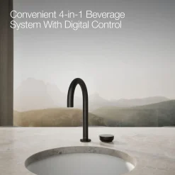 4-in-1 short arc beverage faucet