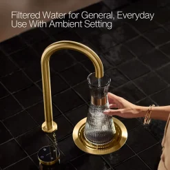 4-in-1 short arc beverage faucet