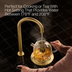 4-in-1 short arc beverage faucet
