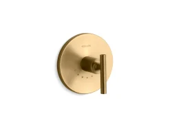 MasterShower® temperature control valve trim with lever handle