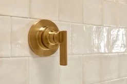 MasterShower® transfer valve trim with lever handle