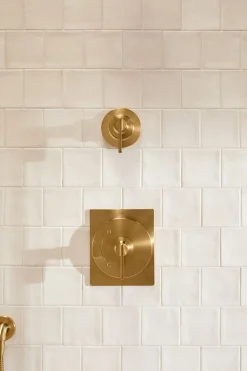 MasterShower® transfer valve trim with lever handle