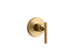 MasterShower® transfer valve trim with lever handle