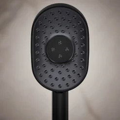 Oblong three-function handshower, 2.5 gpm