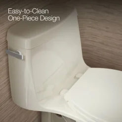 One-piece compact elongated 1.6 gpf toilet with Revolution 360® swirl flushing technology