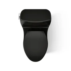 One-piece compact elongated 1.6 gpf toilet with Revolution 360® swirl flushing technology