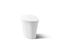 One-piece compact elongated smart toilet, dual-flush