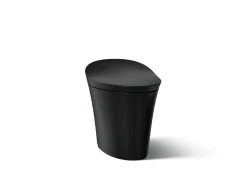 One-piece compact elongated smart toilet, dual-flush