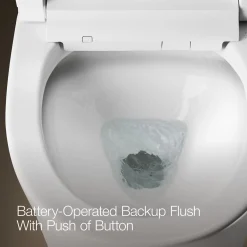 One-piece compact elongated smart toilet, dual-flush