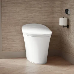 One-piece compact elongated smart toilet, dual-flush