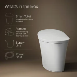 One-piece compact elongated smart toilet, dual-flush