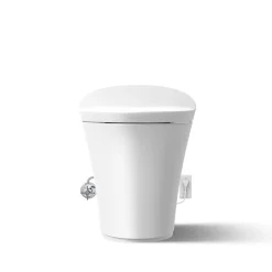 One-piece compact elongated smart toilet, dual-flush