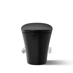 One-piece compact elongated smart toilet, dual-flush