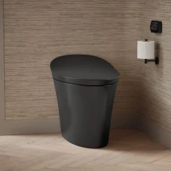 One-piece compact elongated smart toilet, dual-flush