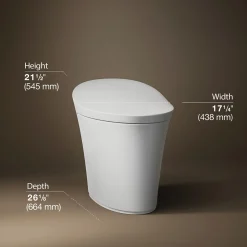 One-piece compact elongated smart toilet, dual-flush