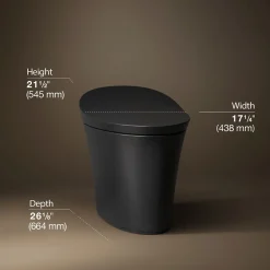 One-piece compact elongated smart toilet, dual-flush