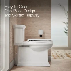 One-piece compact elongated toilet with skirted trapway, 1.28 gpf