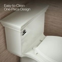One-piece compact elongated toilet with skirted trapway, 1.28 gpf