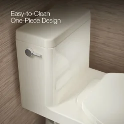 One-piece compact elongated toilet with skirted trapway, 1.28 gpf