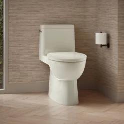 One-piece compact elongated toilet with skirted trapway, 1.28 gpf