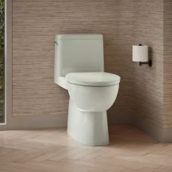 One-piece compact elongated toilet with skirted trapway, 1.28 gpf