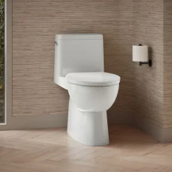 One-piece compact elongated toilet with skirted trapway, 1.28 gpf