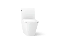 One-piece compact elongated toilet with skirted trapway, dual-flush