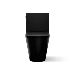 One-piece compact elongated toilet with skirted trapway, dual-flush