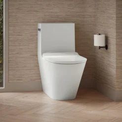 One-piece compact elongated toilet with skirted trapway, dual-flush