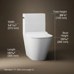 One-piece compact elongated toilet with skirted trapway, dual-flush