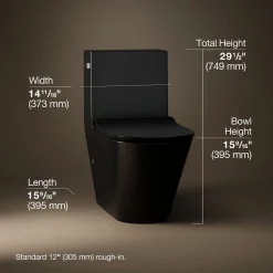 One-piece compact elongated toilet with skirted trapway, dual-flush