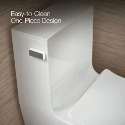 One-piece compact elongated toilet with skirted trapway, dual-flush