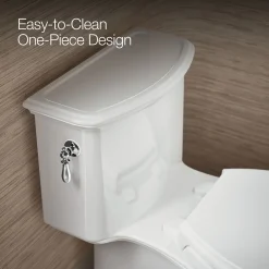 One-piece compact elongated toilet with skirted trapway, 1.28 gpf